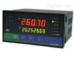 XMD-100型可调式模拟数字自动巡测报警仪