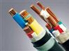 电力电缆VV0.6/1KV 3*16+1*10